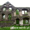 Świny - Zamek