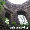 Świny - Zamek