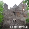 Świny - Zamek