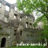 Świny - Zamek