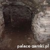 Świny - Zamek