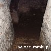 Świny - Zamek