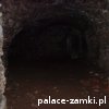 Świny - Zamek
