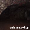 Świny - Zamek
