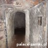 Świny - Zamek