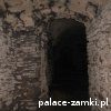 Świny - Zamek